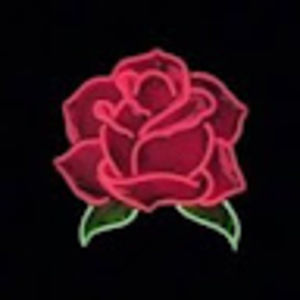 Meet your Posher, Sela